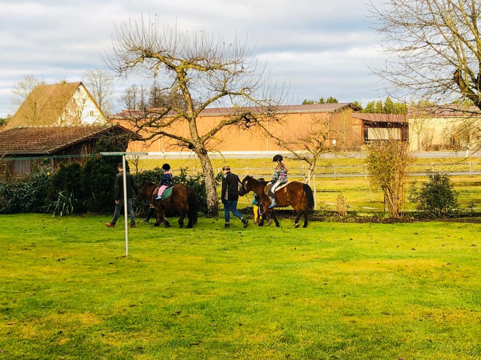 Sport & Freizeit Urlaub am Regen - Ferienhof Dirnberger