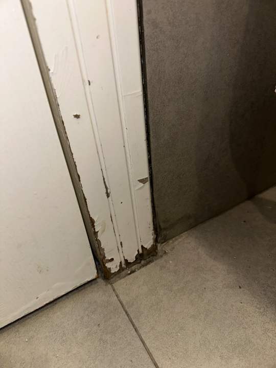 Zimmer Seven Seas Palmeras Bay Alanya