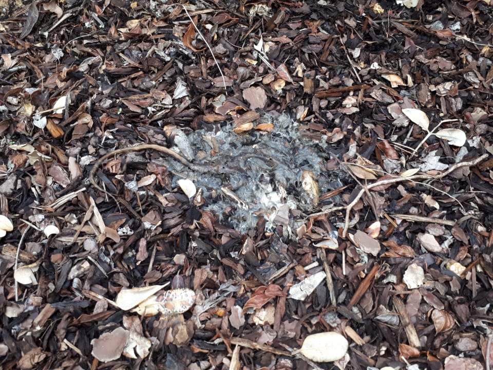 Gartenanlage Iberostar Selection Lagos Algarve