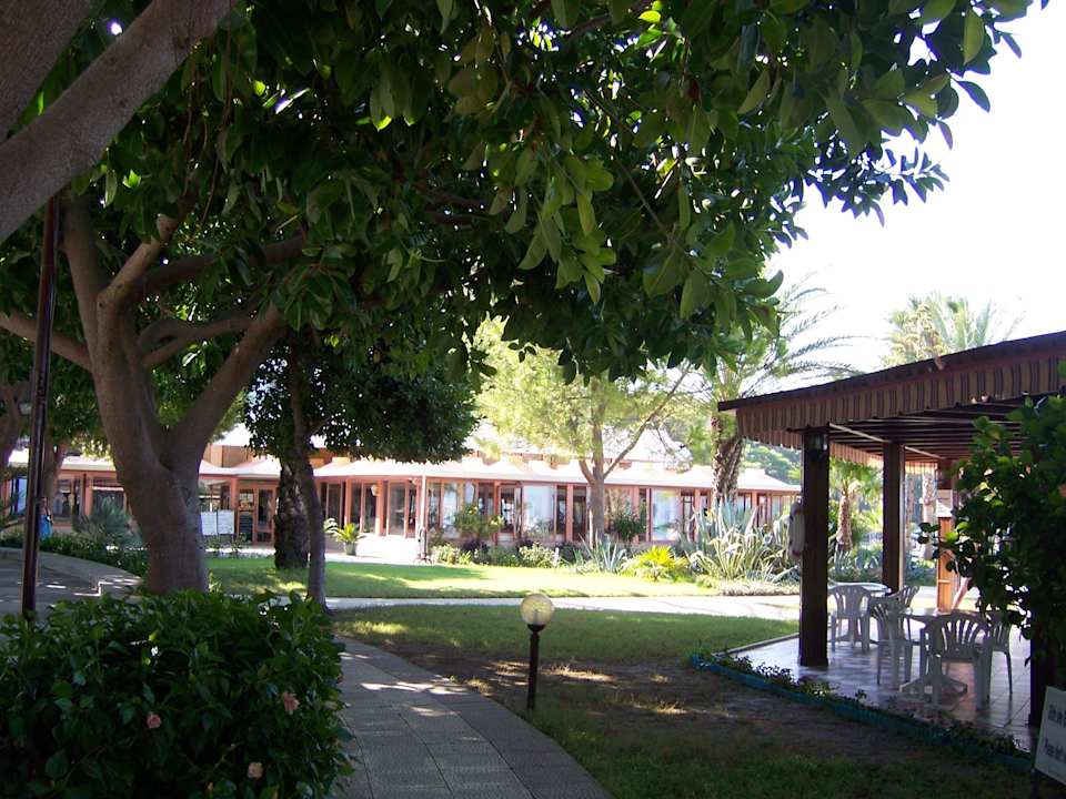 Restaurante und Poolbar Top Hotel