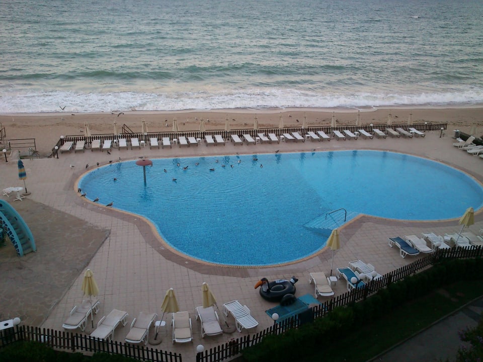 Pool HVD Riviera Beach