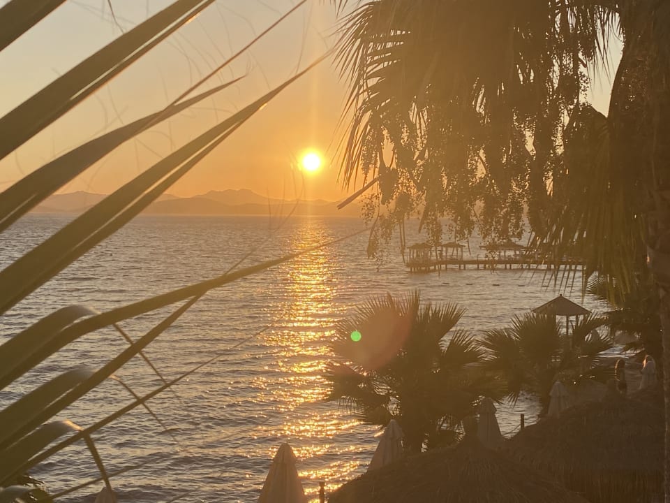 Ausblick TUI MAGIC LIFE Bodrum - Adult Only (16+)