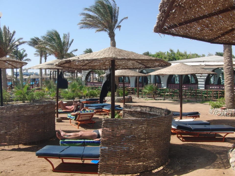 Die Liegen Arabia Azur Resort