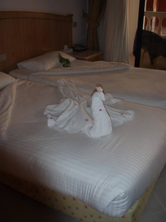 Letzter Tag im Zimmer Pickalbatros Alf Leila Wa Leila Resort - Neverland Hurghada