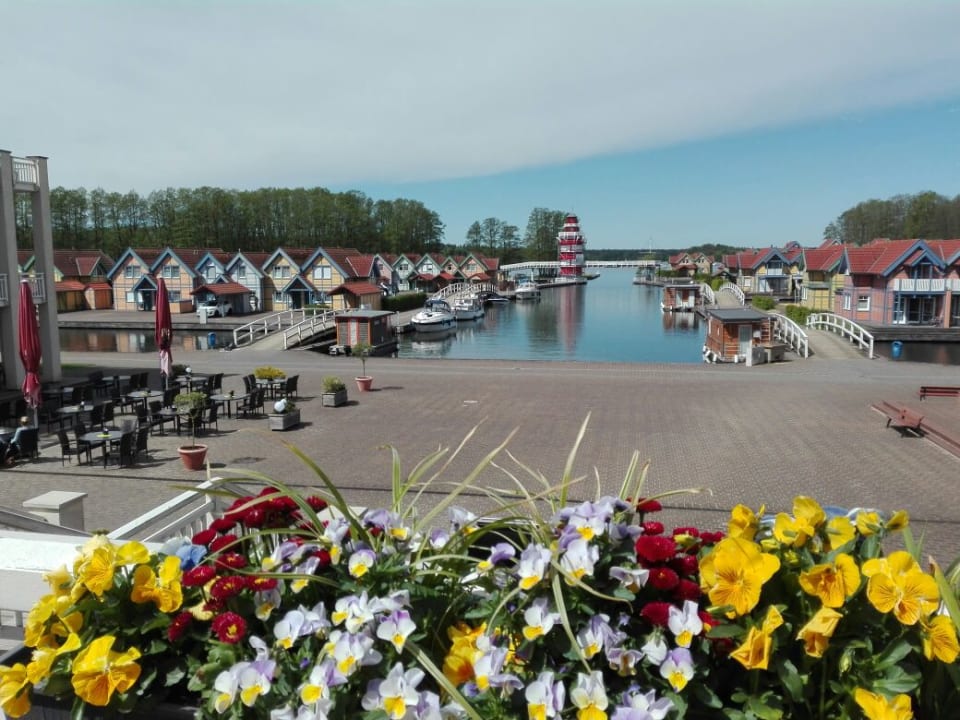 Toller Ausblick zum Wasser Precise Resort Hafendorf Rheinsberg