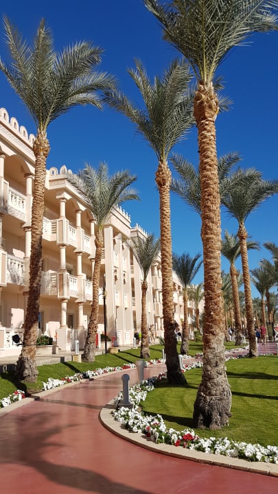 Gartenanlage Pickalbatros Palace Resort
