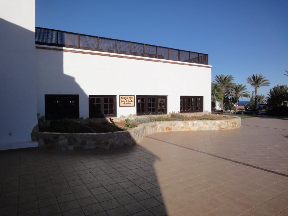 Magico TUI MAGIC LIFE Fuerteventura