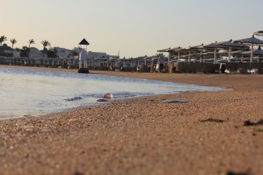Strand Pickalbatros Dana Beach Resort - Hurghada