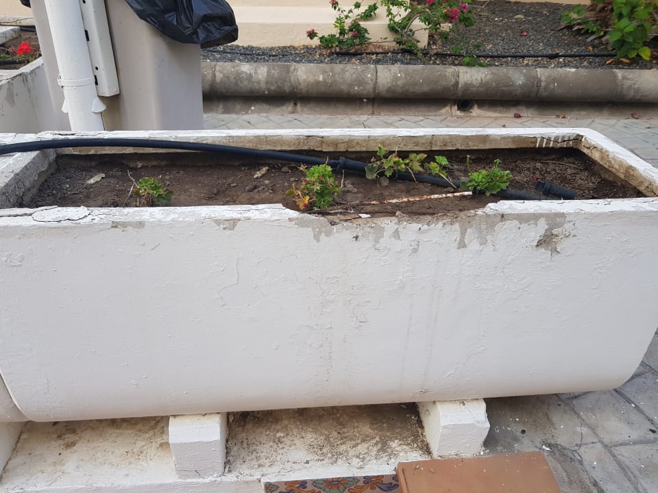 Außenansicht Melia La Palma Hotel