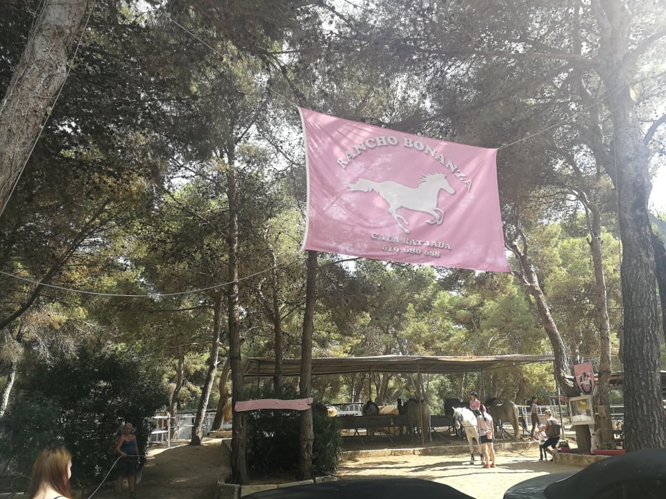 Sport & Freizeit Hipotels Bahia Grande