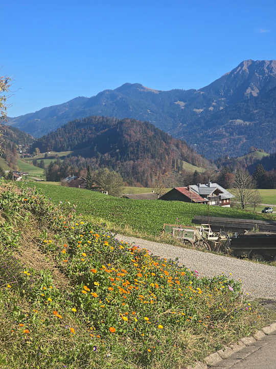 Sonstiges Alpenhotel Oberstdorf
