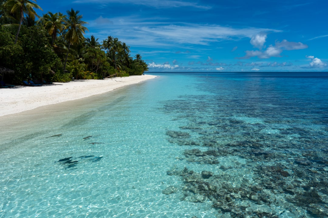 Strand ROBINSON MALDIVES