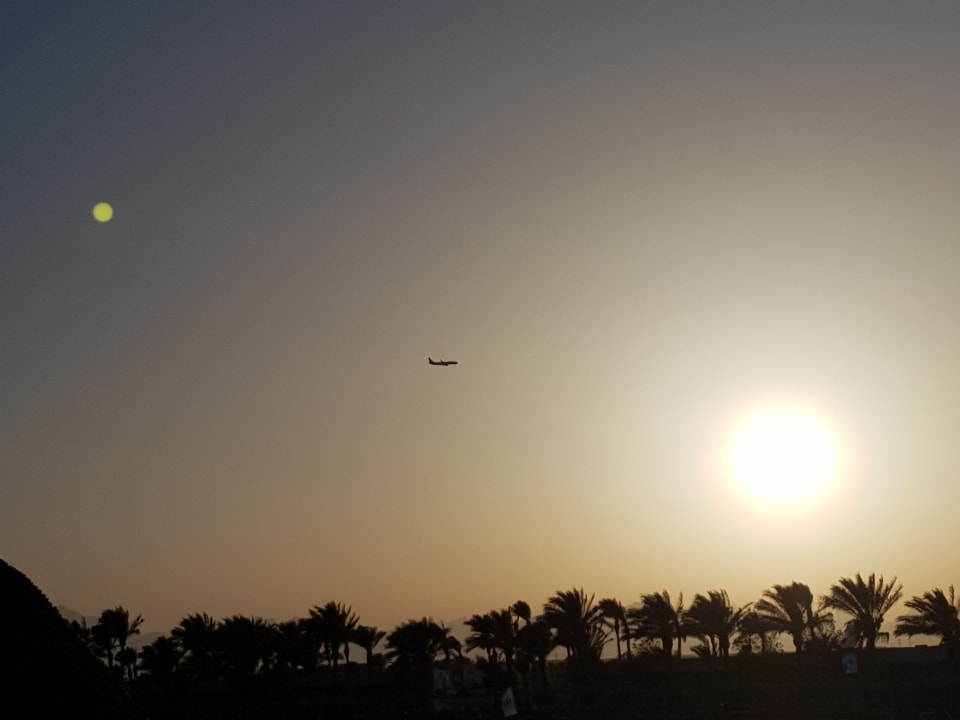 Ausblick Desert Rose