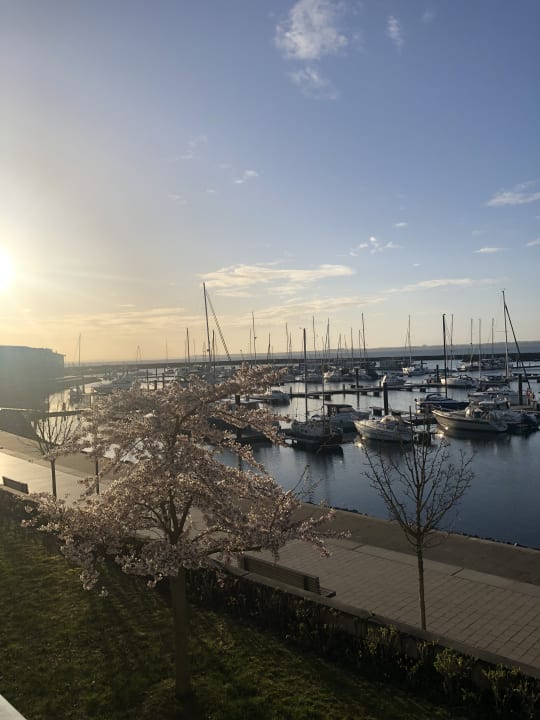 Ausblick Lindner Hotel Boltenhagen, part of JdV by Hyatt