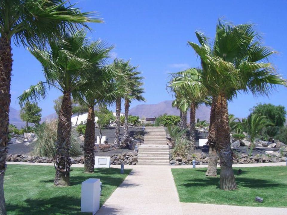 Garten Hotel THB Tropical Island