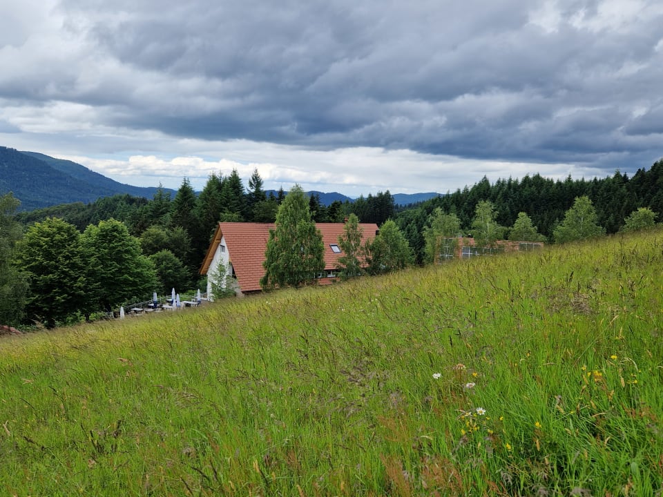 Ausblick Berggasthaus Braunbergstüble