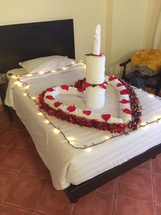 Zimmer Three Corners Sea Beach Resort