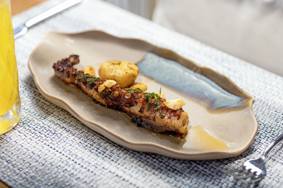 Gastro Liberty Signa