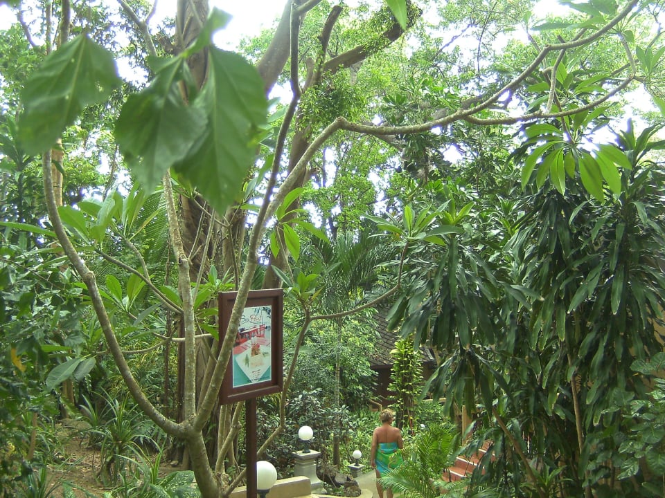 Februar 2016 The Fair House Beach Resort