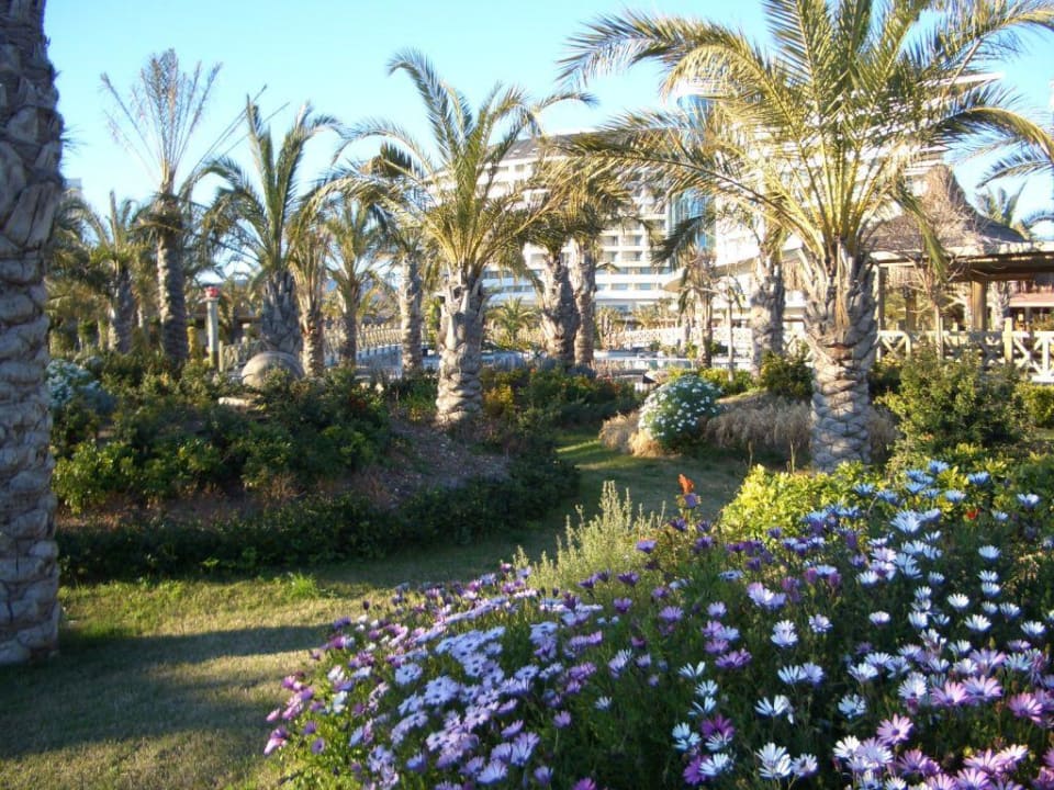 Gartenanlage Royal Wings Hotel