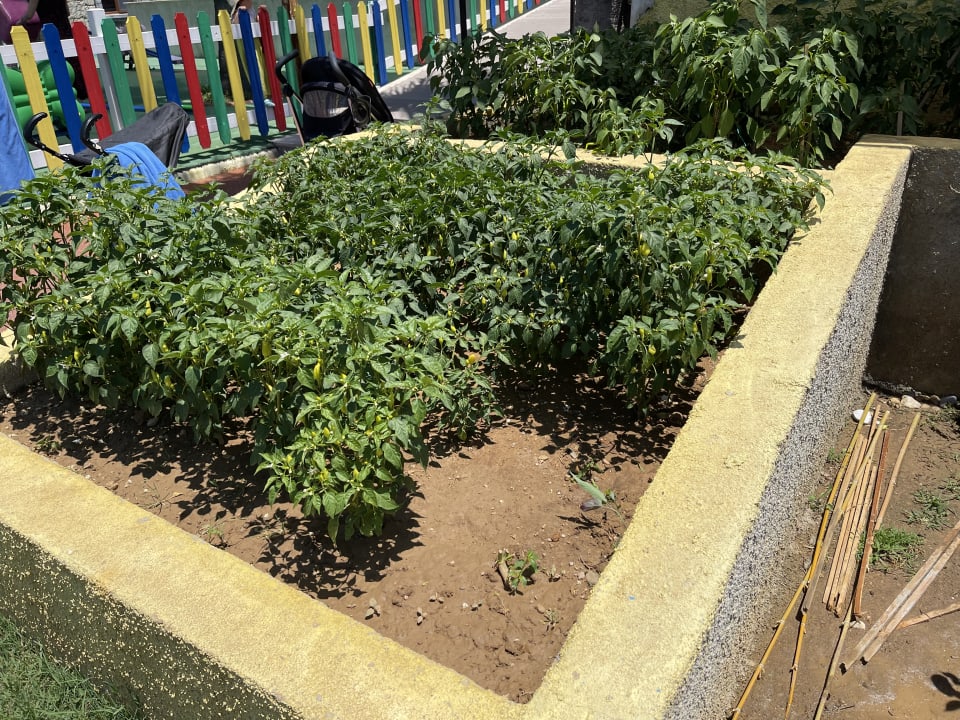 Gartenanlage TUI KIDS CLUB Felicia Village