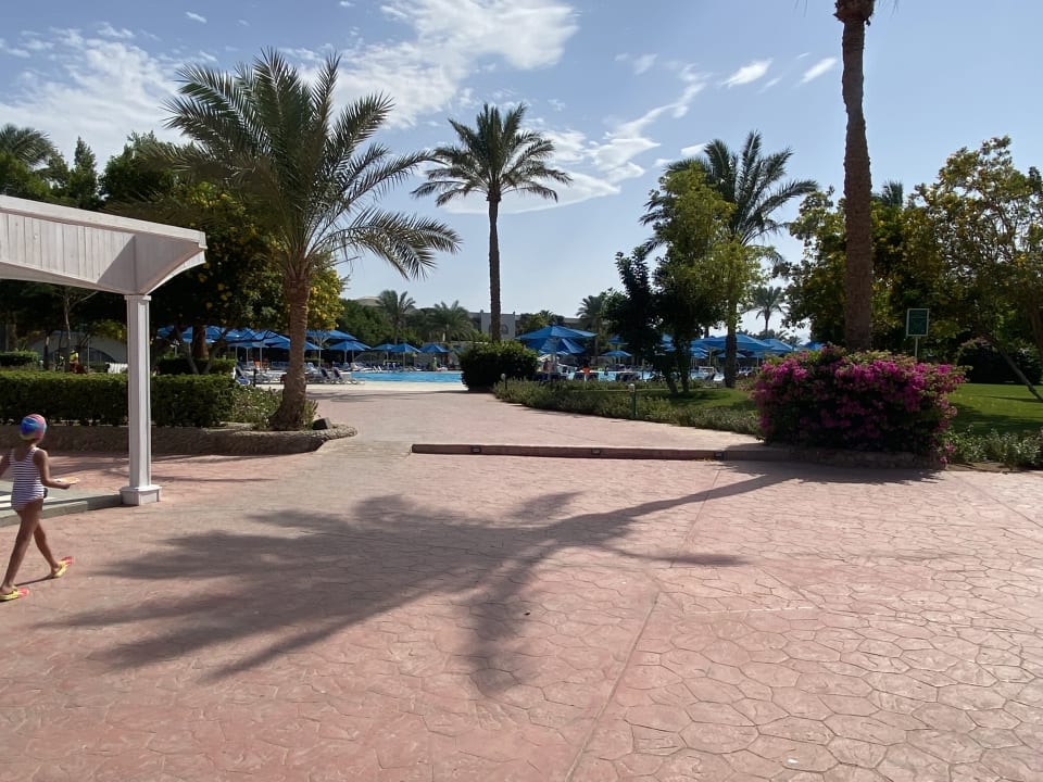 Außenansicht Desert Rose