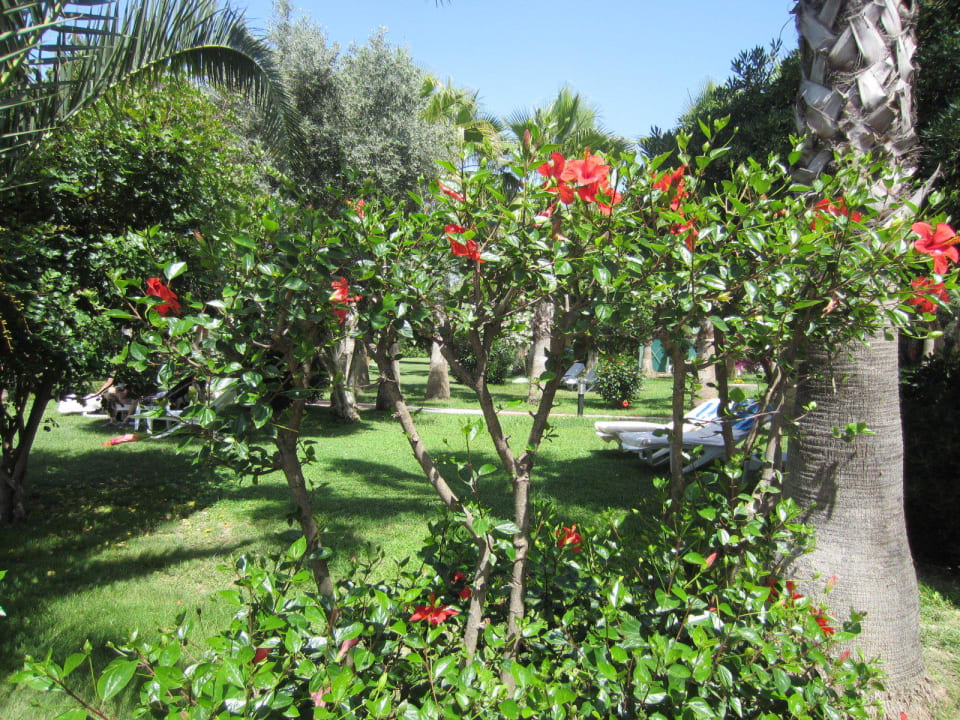 Der Garten Hotel Defne Garden