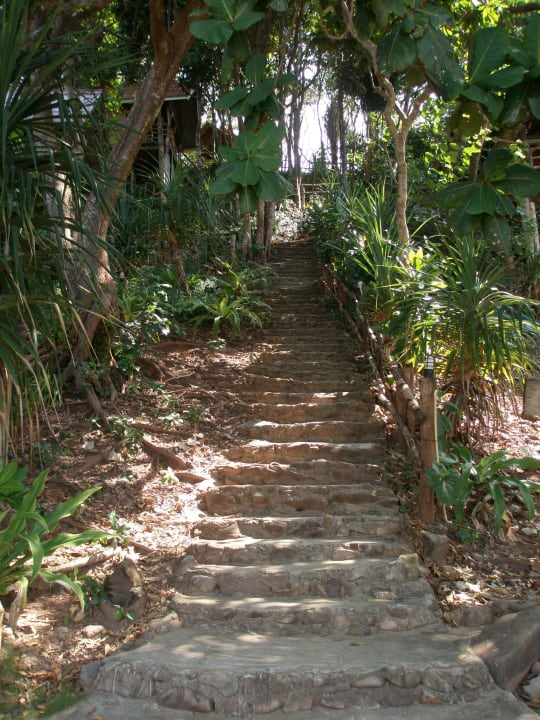 Steile Treppe Bungalow Jungle Hill