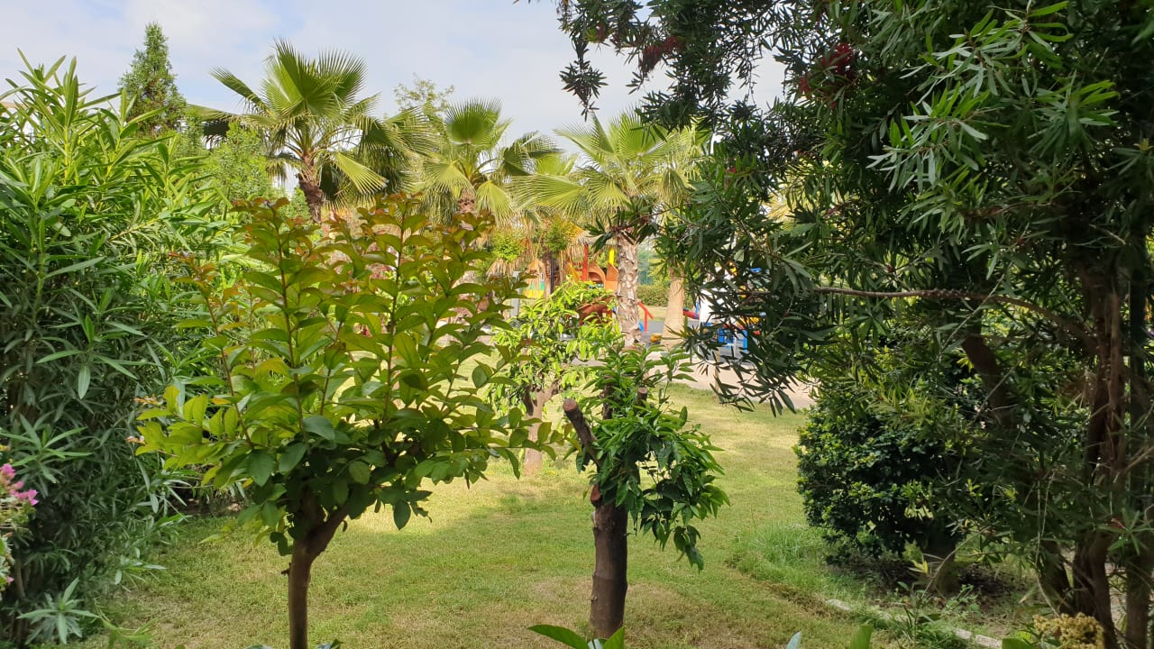 Ausblick Hane Family Resort