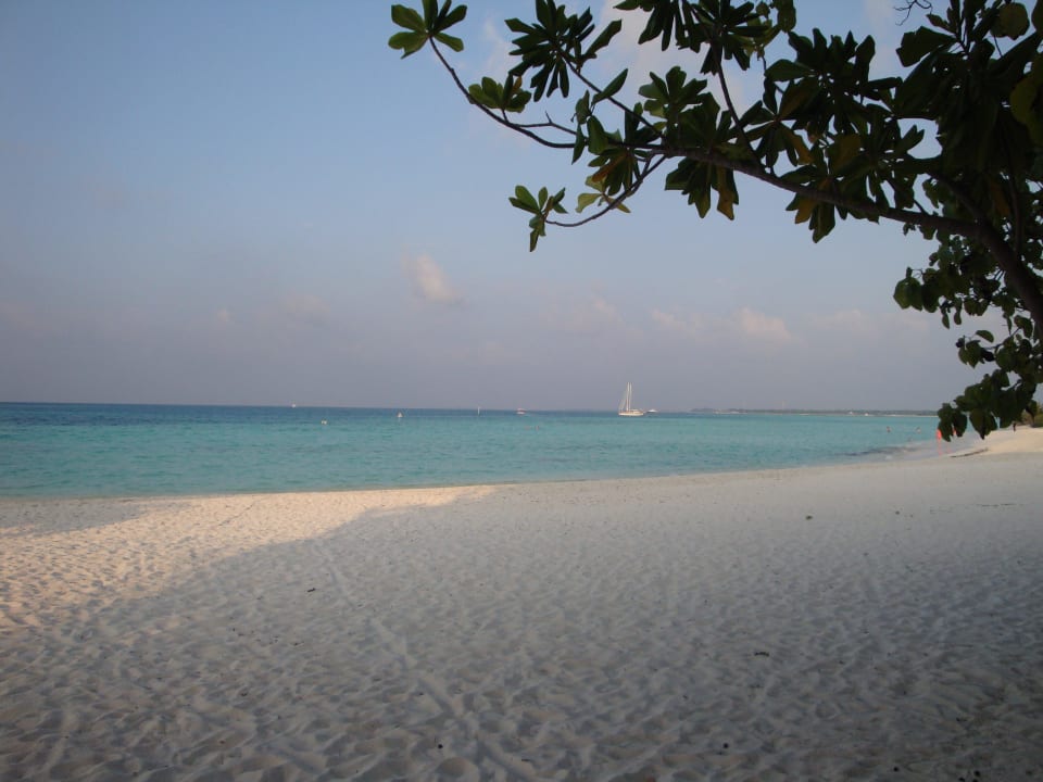 Sun Island Malediven Villa Park Sun Island