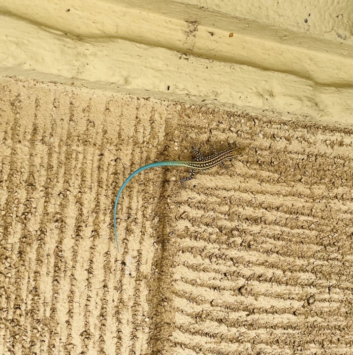 Sonstiges Hotel Kalithea Horizon Royal