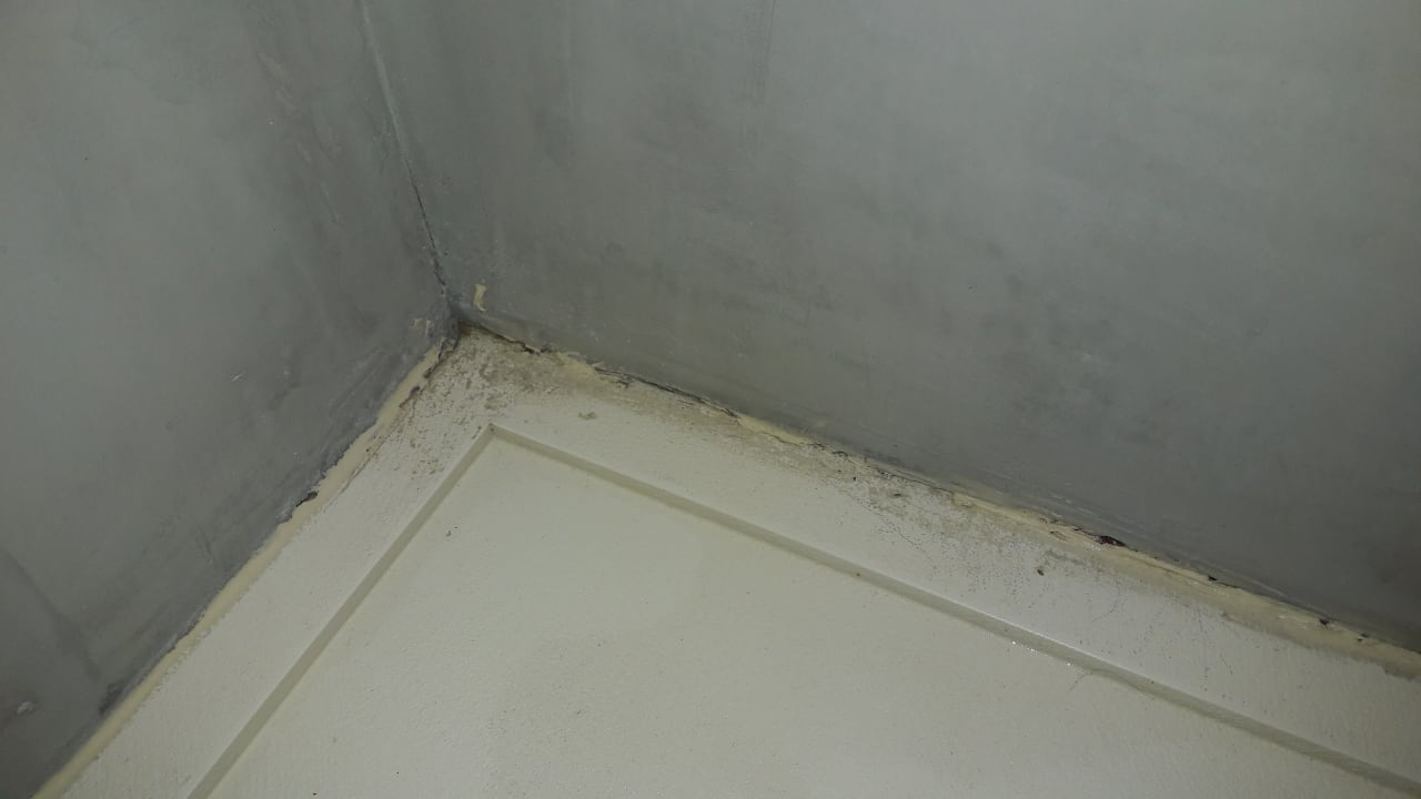 Zimmer Dreams Jardín Tropical