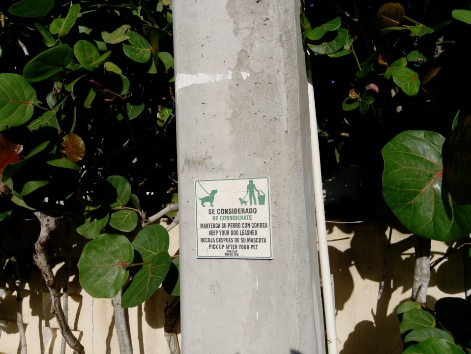 Gartenanlage Villa Diane