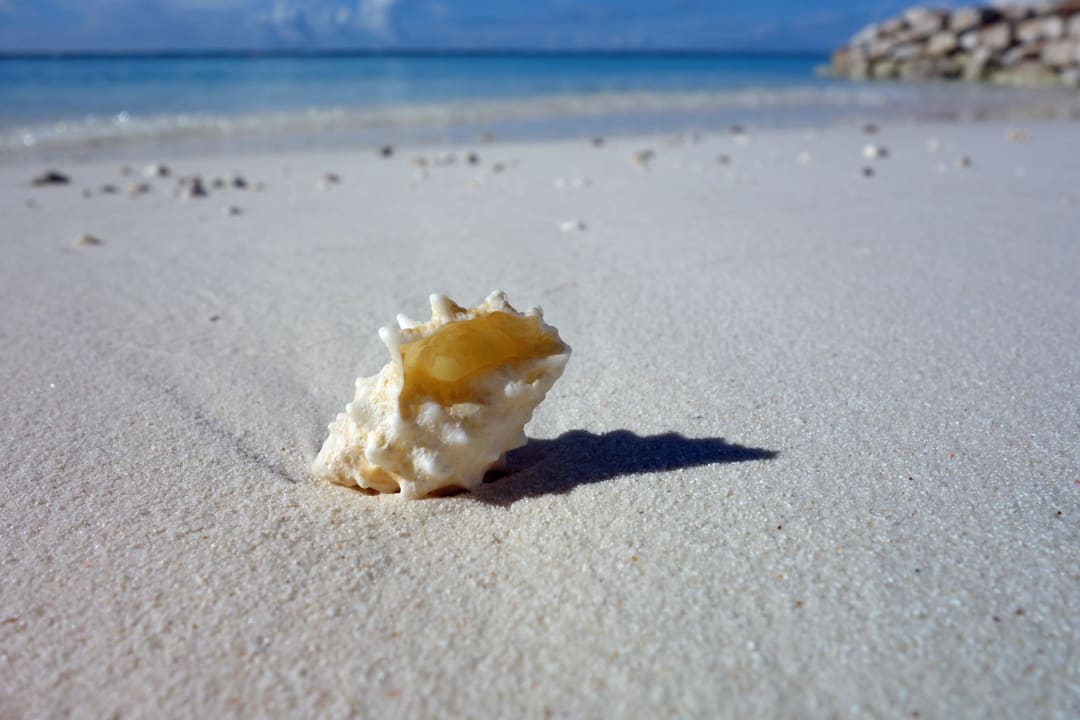 Einsame Muschel Adaaran Select Meedhupparu Island Resort - Premium All Inclusive