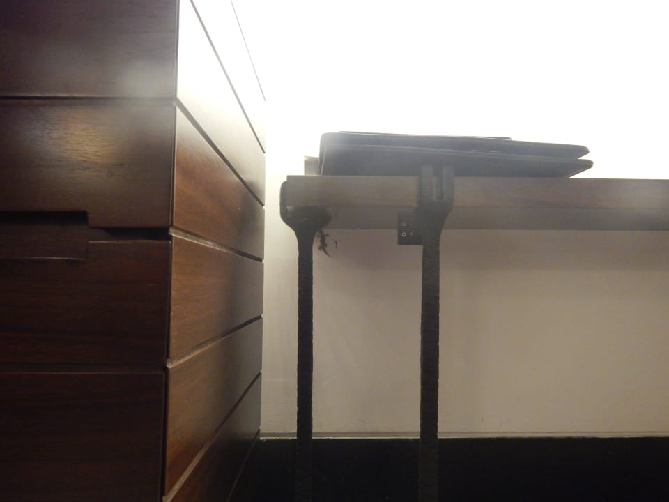 Lizards in room Sofitel Bali Nusa Dua Beach Resort