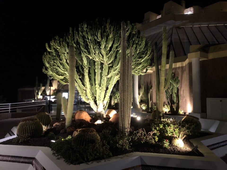 Gartenanlage Hotel Riu Palace Jandia