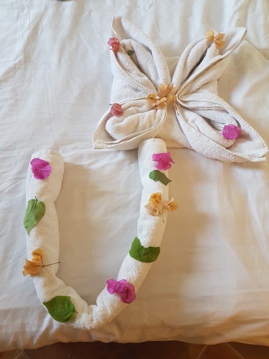 Zimmer Three Corners Sea Beach Resort