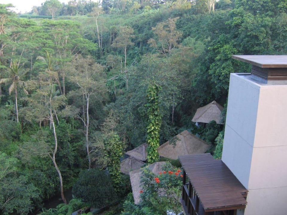 Ausblick Maya Ubud Resort & Spa Bali