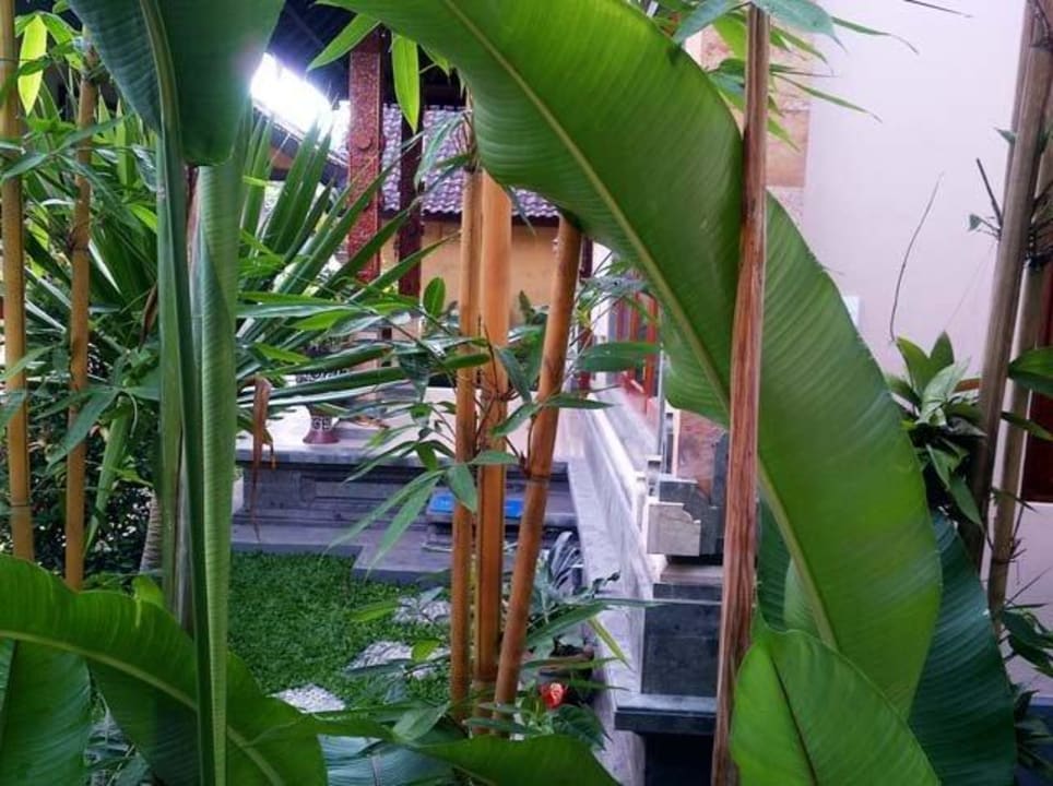 Garden view Uma Dewi Guest House