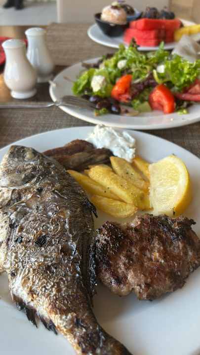Gastro Cactus Royal
