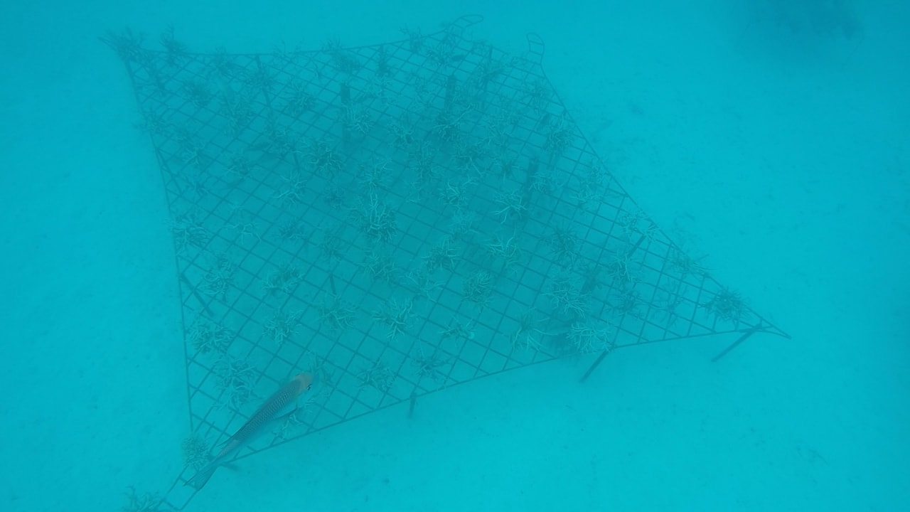 Sport & Freizeit Meeru Maldives Resort Island