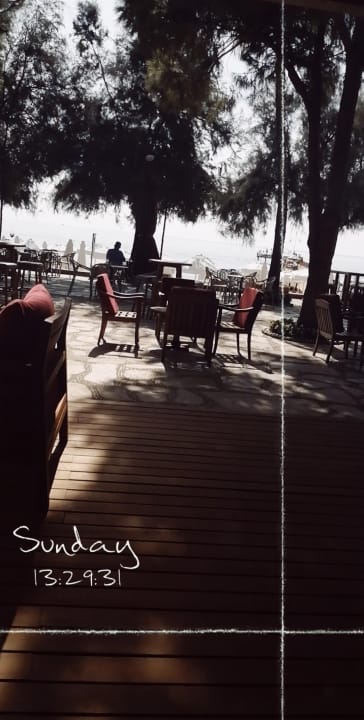 Gartenanlage Arum Barut Collection