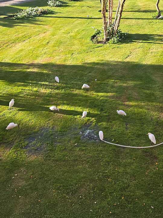 Gartenanlage Sentido Caribbean World Soma Bay