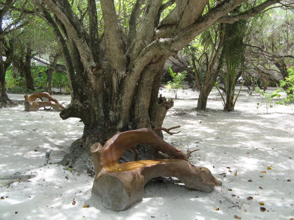 Tolle Möbel Adaaran Select Hudhuran Fushi - Premium All Inclusive