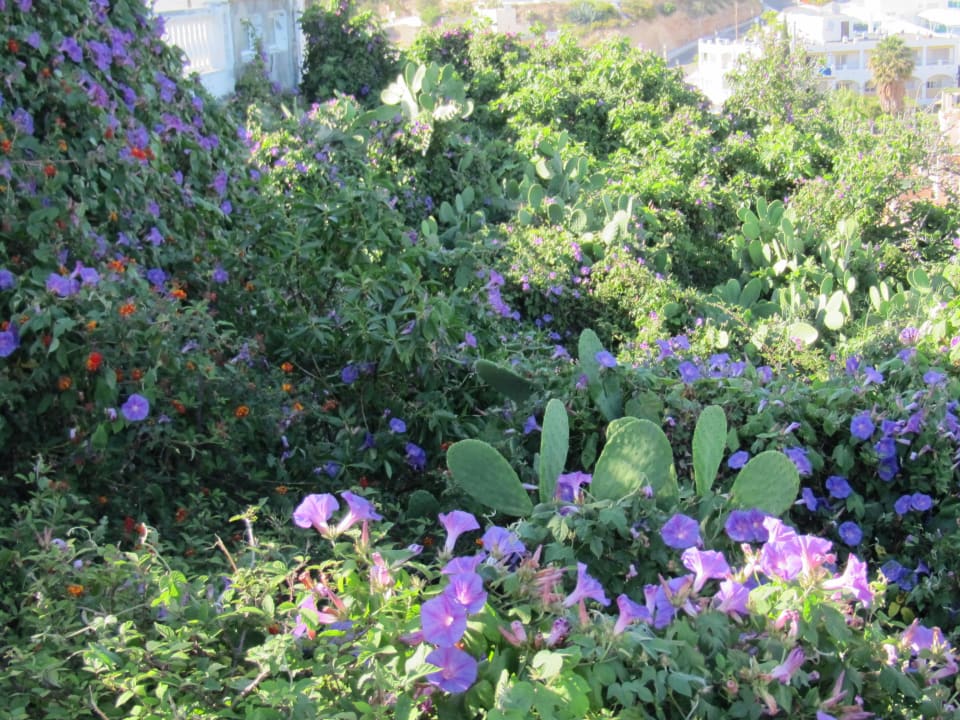 Ausblick zur Strandseite Hotel Parador de Nerja