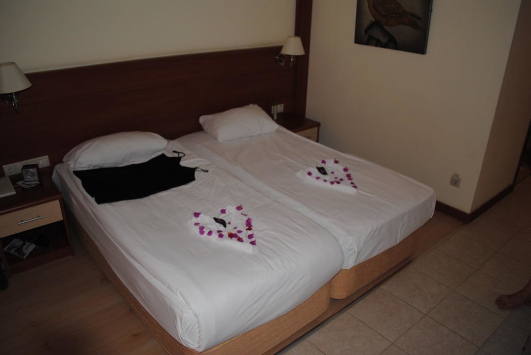 Zimmer 8207 Crystal Paraiso Aqua Collection