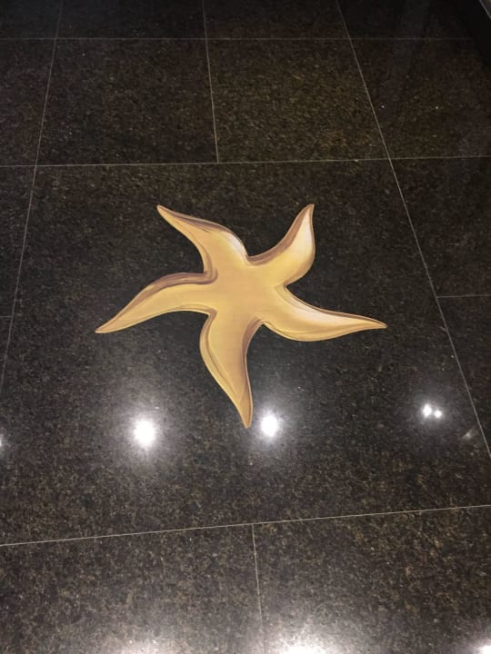 Iberostar Logo Iberostar Waves Bellevue