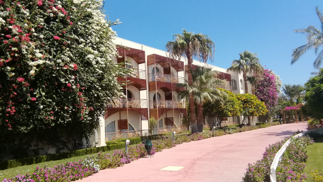 Gartenanlage Desert Rose