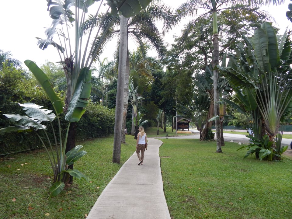 Weg zum Hotel Sunset at the Palms Resort - Adults Only