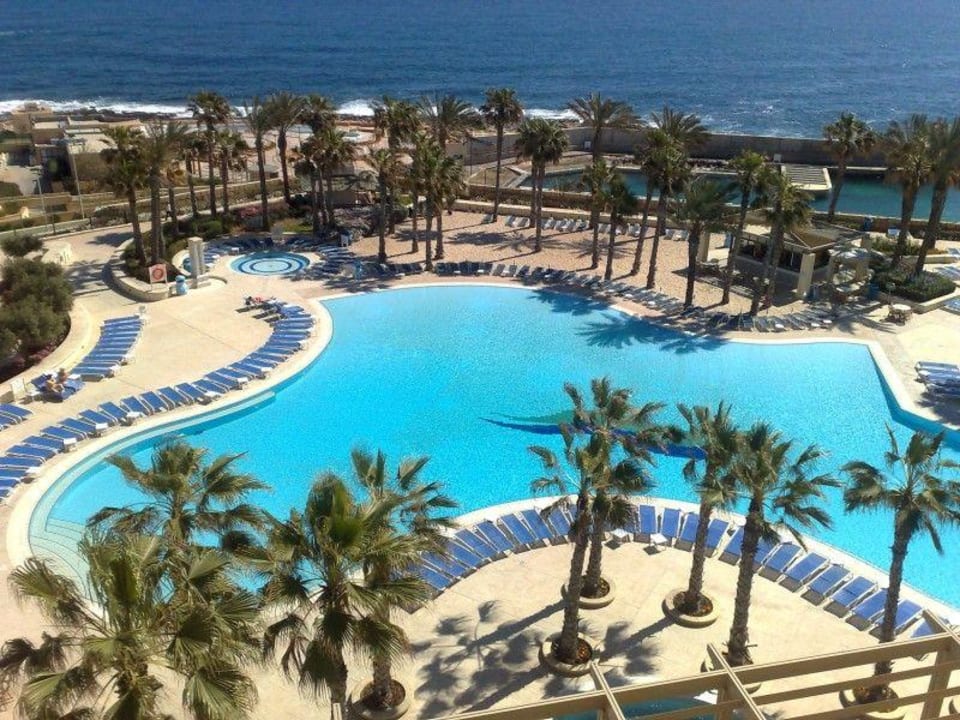 Pool Hilton Malta Hilton Malta